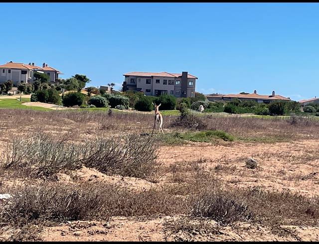 685M² VACANT LAND FOR SALE IN LANGEBAAN COUNTRY ESTATE